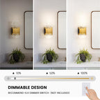 Modern LED Wall Sconce